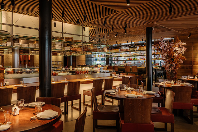 brands_ROKA